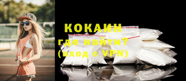 тгк Семёнов
