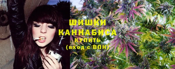 молекула духа Галич