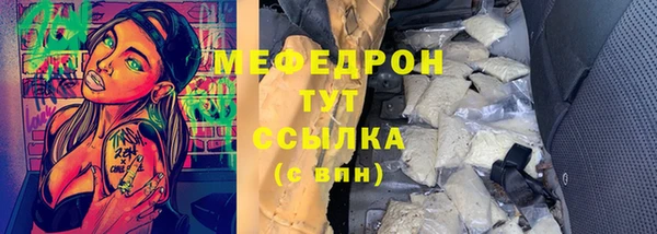 молекула духа Галич