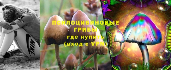 ALPHA-PVP Гатчина
