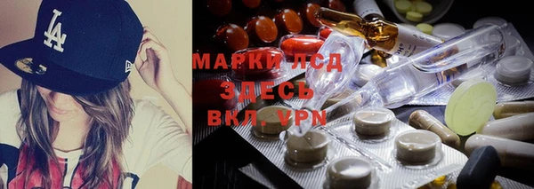 дмт Гвардейск